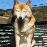 モチベーションの上げ方♪