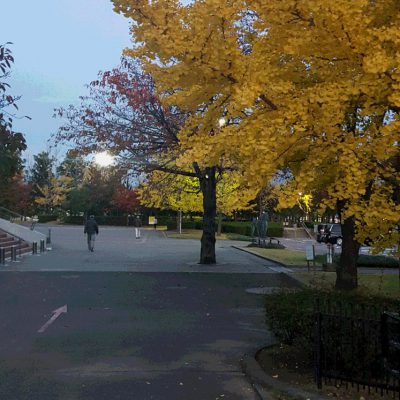 ☆スポーツの秋☆