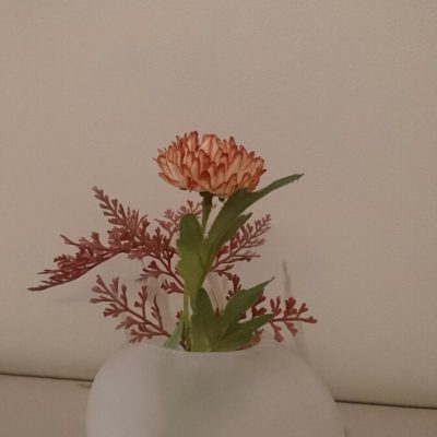 季節が変わりましたね