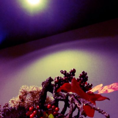 ムーンサイクル・・・新月☆