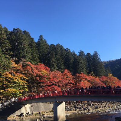 この時期といえば・・・