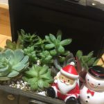 ほっこり・・・