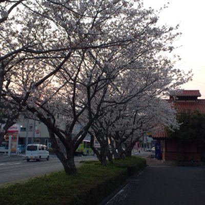 一生のお付き合い