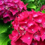 おいしく食べて気持ちよく出す