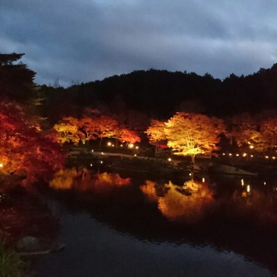 静岡にこんな素敵な場所が!