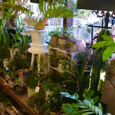 グリーンは目に優しい