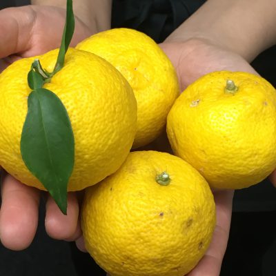 いただきもの♪