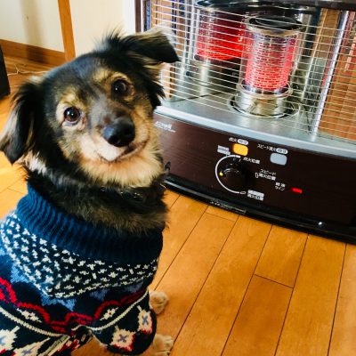 体の内側から自分の力で温めよう！