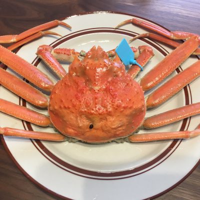 嬉しいお届け物♪