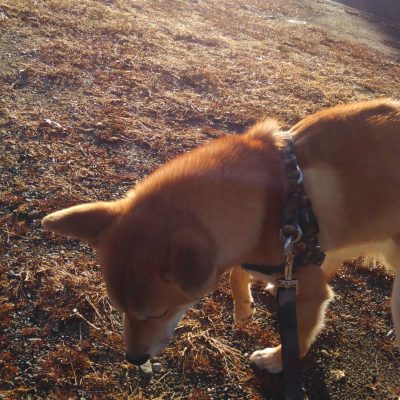 今年の始まり☆