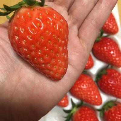 旬の食べ物と言えば…！