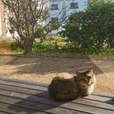 幸せホルモン生成中！