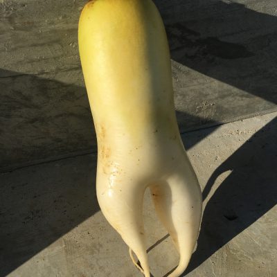 親近感が湧いて思わずパシャリ☆