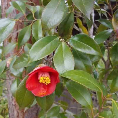 もっちのマイブーム