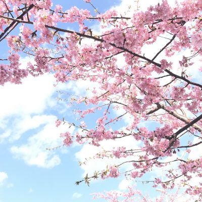 日常を離れて・・・