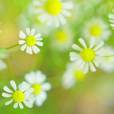 春！デトックス！