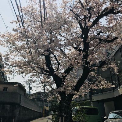 暖かくなってきたからこそ♪