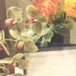 100回来店の方へインタビュー☆vo.7