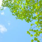 春ってなんで眠いのだろう