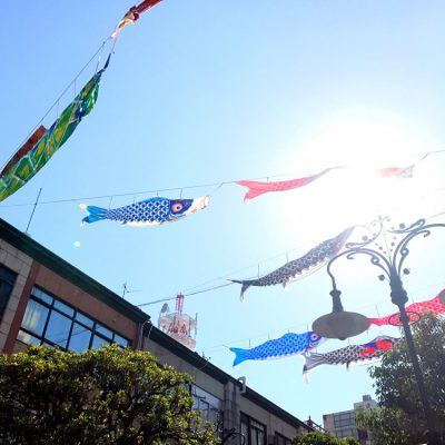 通勤途中の癒し