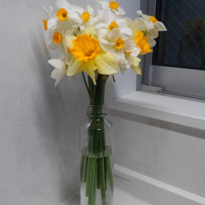 トシコの部屋～新たなスタート編～