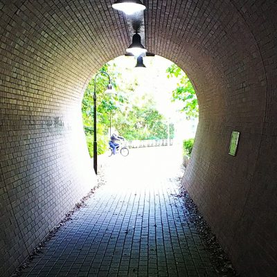 地元の魅力再発見☆彡