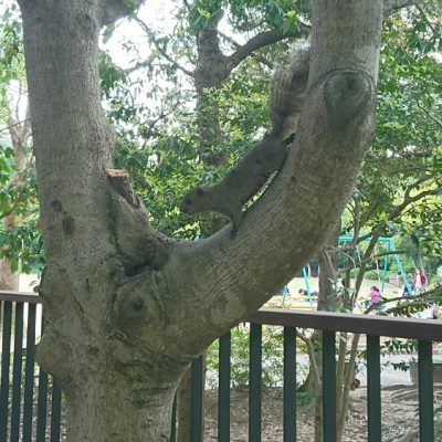 浜松の癒し系・・・