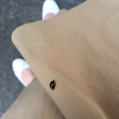 みぃつけた・・・！