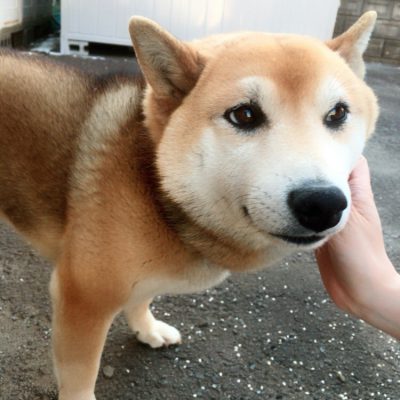 水分の大切さ☆彡