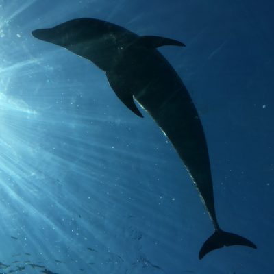 亜樹のミナモト★３