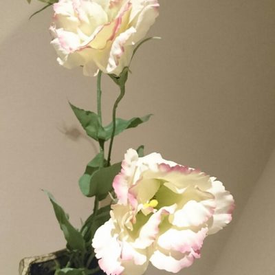 女性が持っている素質