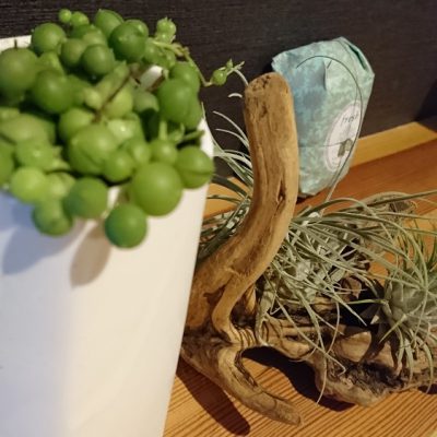 幸せを増やす方法