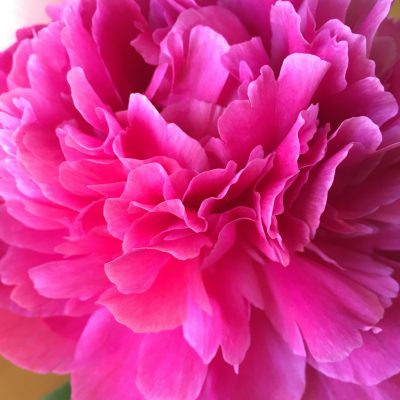 心に少しのゆとりを