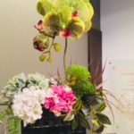 6月のお花～四季を感じる駅南店～