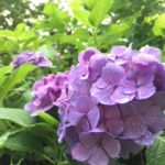 聞いてください！