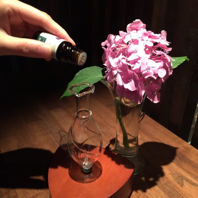 むし虫スッキリ