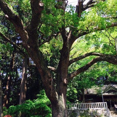 プラスのパワー