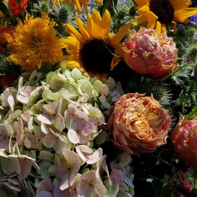 イキイキ輝き☆素材だより・仲間＆サポーター編