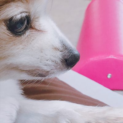 出来る事をコツコツと