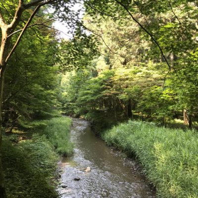 自然の持つ力・・・