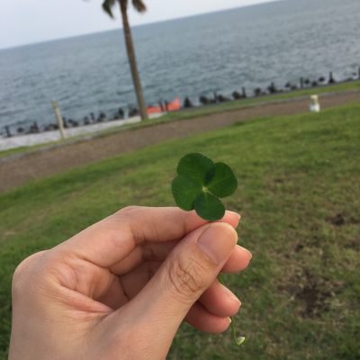 ハッピーよ、届け〜