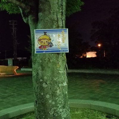 イキイキ輝き☆素材だより・アンテナ編