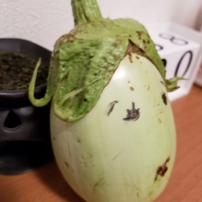 イキイキ輝き素材だより・夏編