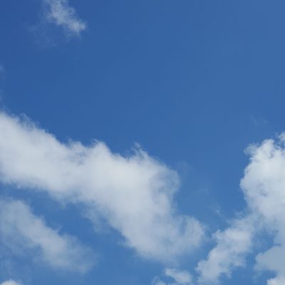 日焼け対策に有効な食べ物！