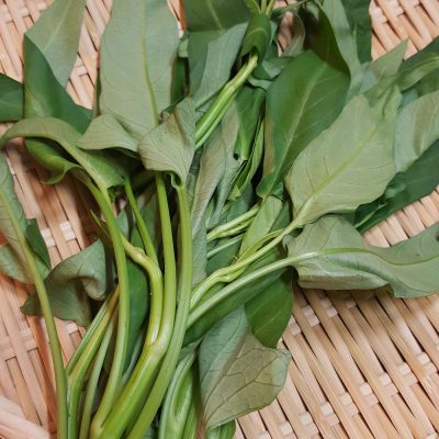 夏に大切なもの