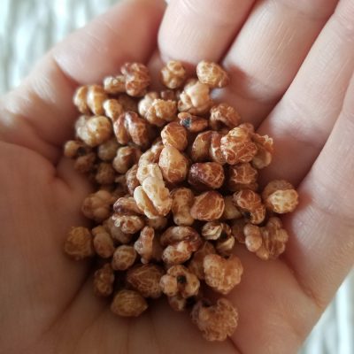 小腹と薬膳とワタシ・小腹編