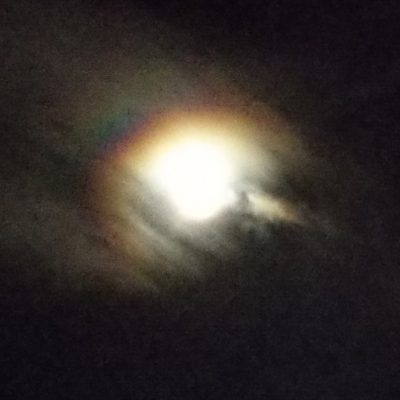 しあわせ☆彡み~つけた!