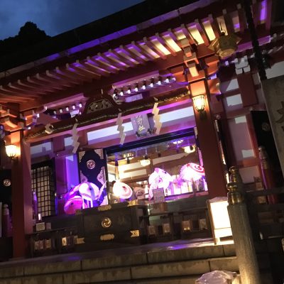 違う視点、違った景色