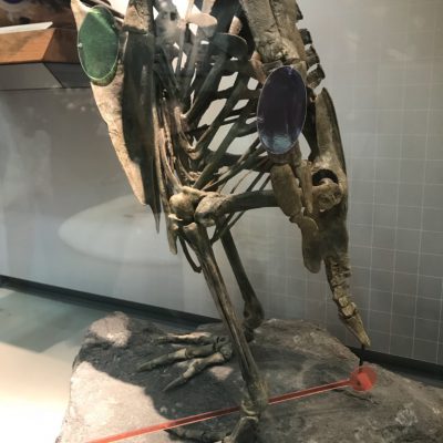 身体の仕組みって不思議