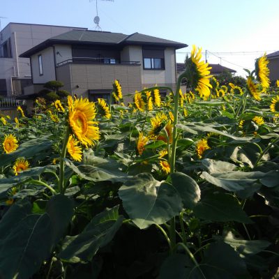 同じ方向を向くという事